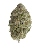 BLUEFIN TUNA | Sheesh 3.5g Flower | Rest