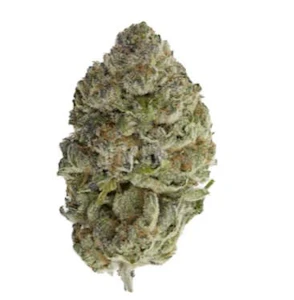 Sheeesh! - BLUEFIN TUNA | Sheesh 3.5g Flower | Rest