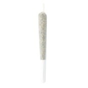Citrus Experience Rosin Infused JOINT 1g