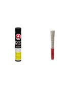Pistol and Paris | Diablo Pre-Roll | 3x0.5g