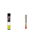Pistol and Paris | Flavours Pre-Roll | Orange Tingz | 1x1g