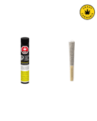 Pistol and Paris | Hawaiian Fanta Pre-Roll | 3x0.5g