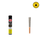 Pistol and Paris | Orange Tingz Pre-Roll | 3x0.5g