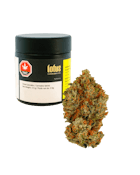 Lotus | Kalifornia | 3.5g