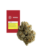 Muskoka Grown | Mighty Mini's | Kush Mints x Gelatti | 28g