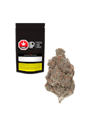 Pistol and Paris | Diablo | 7g