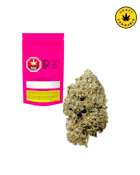 Pistol and Paris | Pink Goo | 7g