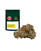 Pure Laine | Original Kush | 14g