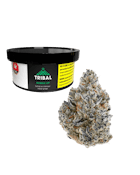 Tribal | Bubble Up | 3.5g