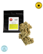 Jonny Chronic | Acapulco Gold | 14g