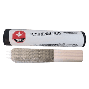 Brindle Farms X Royal Harvest - 3 x 0.75g  Sherbo X Animal Style Live Rosin Infused Pre-Rolls