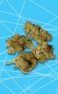 BC Green - BC Green Frosted Gumbo 28g