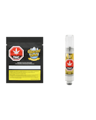 Glacial Gold | Anytime 1:1 Glacial Fresh Mint 510 Cart | 1g