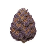 Pakistani Kush - 7g