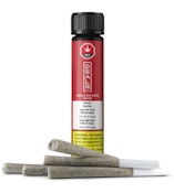 GELLO JIGGLERS PRE-ROLLS - 2.5