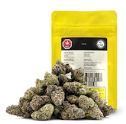 LICKZ LTO - 28