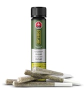GASTOPIA PRE-ROLLS - 2.5