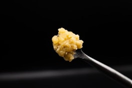 BLUEBERRY CRUMBLE LIVE ROSIN