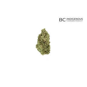 All Nations - LEMON GELATO - 3.5