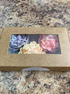 Emi's Wax Garden - EMI'S FLOATING CARNATION