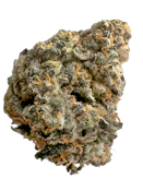 Yuzu Sherb 7g Dried Flower