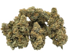 DF - TRAILBLAZER - ROOTBEER #8 - 14g