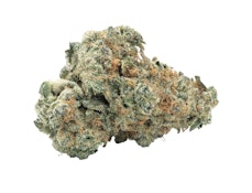 Big Bag O' Buds - BBOB GMO Kush (28g)
