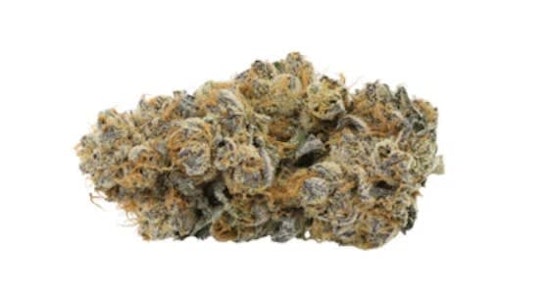 Jolly Boys - ROYAL SHERB - 7g