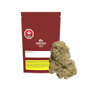 Bandwagon Indica - Homestead - 7