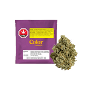 MANGO HAZE - 7