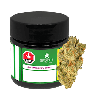 5 Points Cannabis - STRAWBERRY 2.1 - 3.5