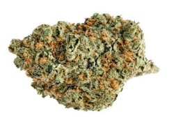 Galactic Haze - Haze X Space Queen 3.5g Dried Flower
