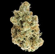 West Coast Gas | Exotics: Platinum Sins | 7 g