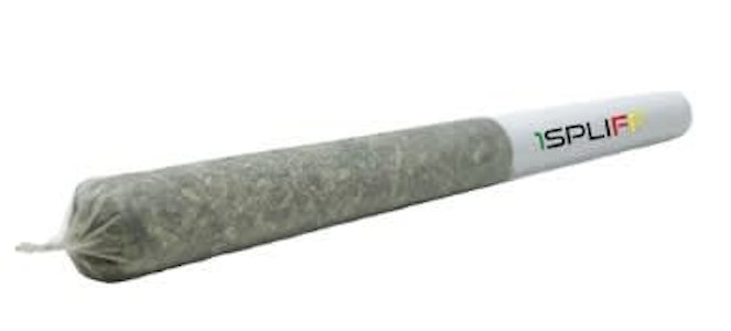 1SPLIFF - Hawaiian Snowcone - Zkittlez X Lemon Cherry Gelato  10 x 0.35g Pre-Rolls