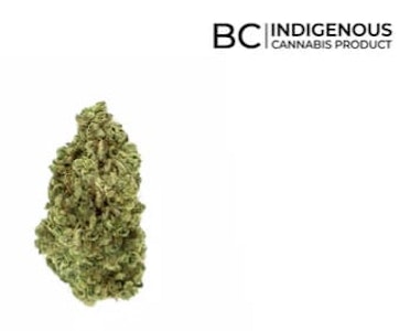 All Nations - LEMON GELATO - 3.5g