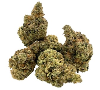 Trailblazer - M*FIA FUNERAL INDICA - 14g