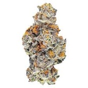 EXCLUSIVES - PINK KITTY