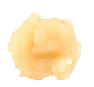 Dabble Cannabis Co. - DRAGO LTO | Dabble Cannabis CO 1x1g Live Rosin | Elevate