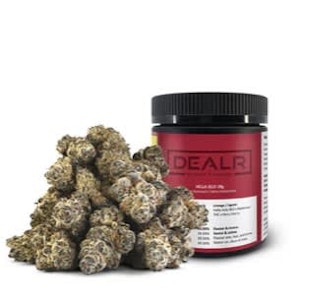 DEALR - HELLA JELLY | DEALR 28g Flower | Elevate