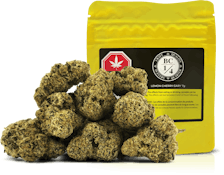 LEMON CHERRY GARY LTO - 7
