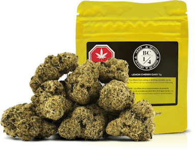 BC 1/4 - BC 1/4 Lemon Cherry Gary LTO - 7g