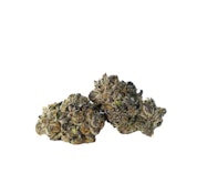 Shockwave x Black Truffle 3.5g