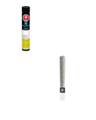 Pistol and Paris | Bubble Hash Infused Pre-Roll | Orange Tingz | 1x1g