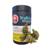 TRAILBLAZER M*FIA FUNERAL INDICA - 14