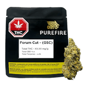 FORUM CUT (GSC) - 7