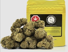 LEMON CHERRY GARY LTO - 7