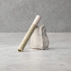 seventails - Sevens Ambassador