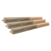 DUTCH FOLDS