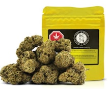 LEMON CHERRY GARY LTO - 7
