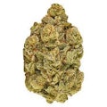 Grand Daddy Purps 7g Dried Flower